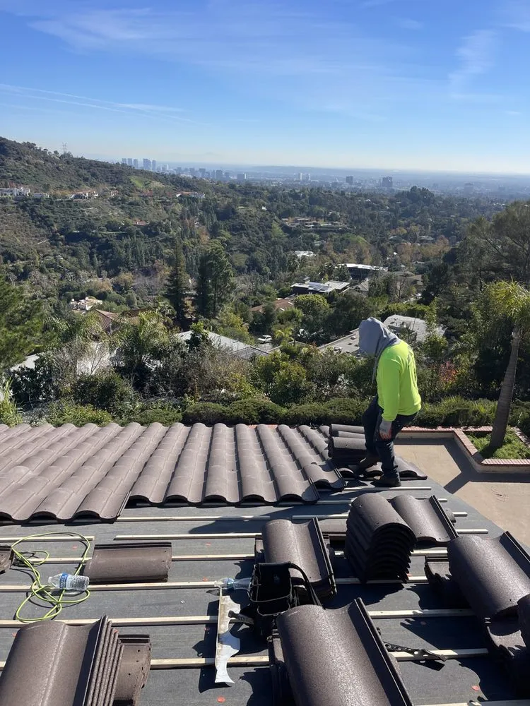 Slide of DLS Development