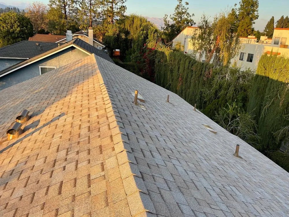 Slide of DLS Development