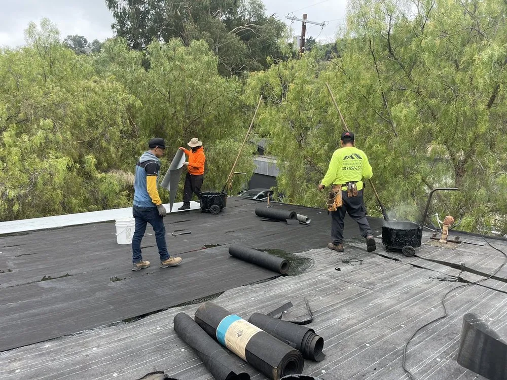 Slide of DLS Development