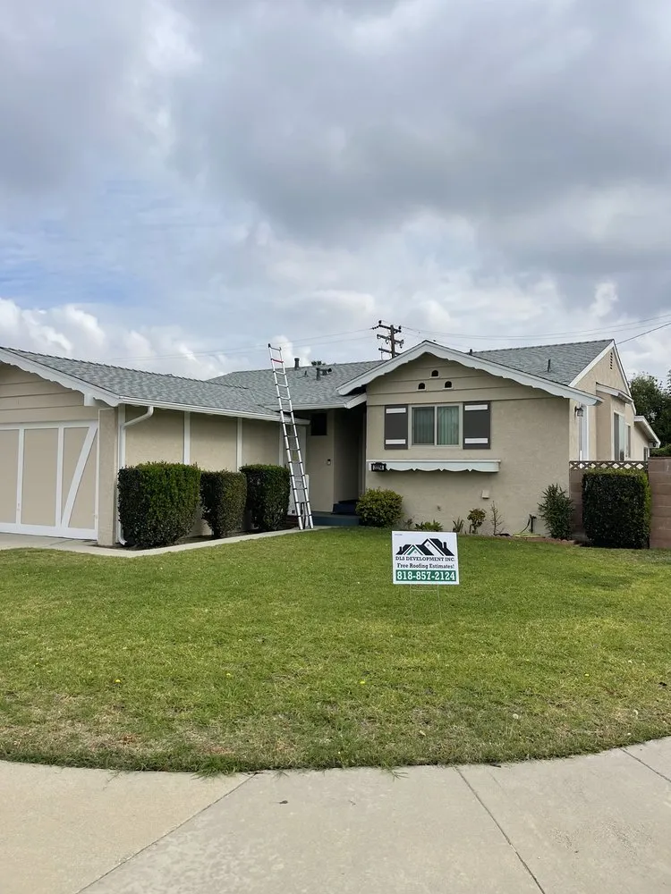 Slide of DLS Development