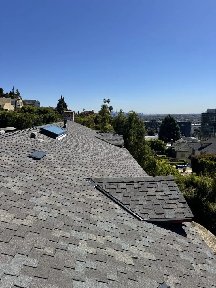 Slide of DLS Development