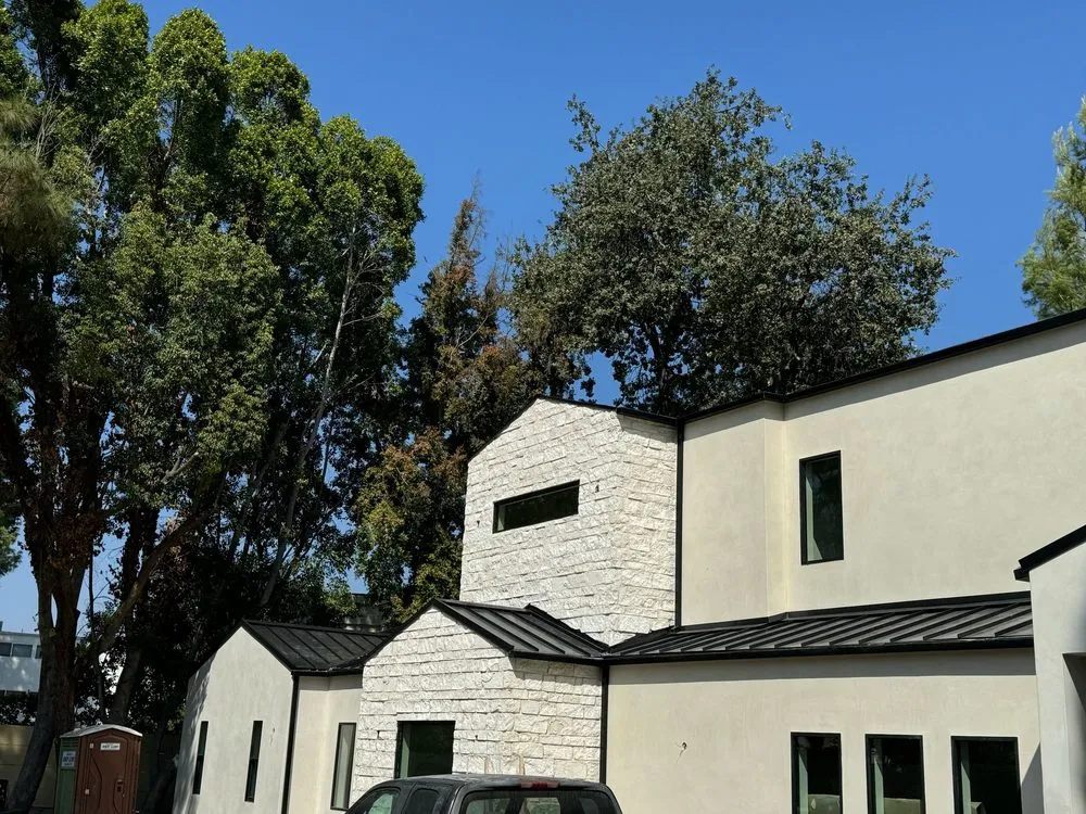 Slide of DLS Development