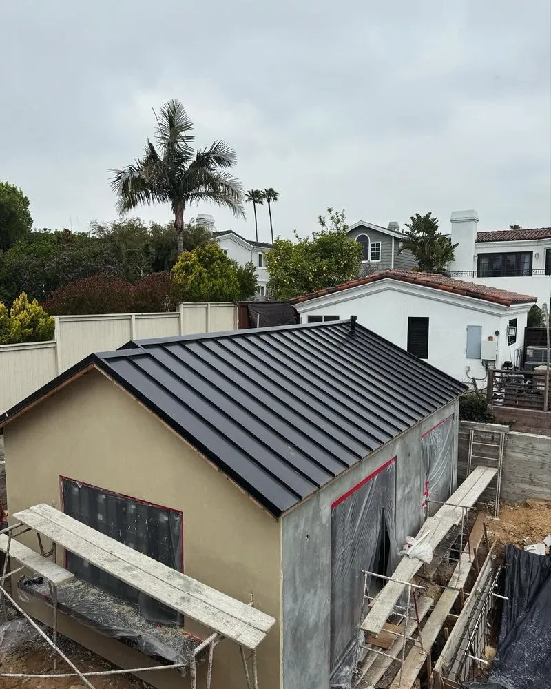 Slide of DLS Development