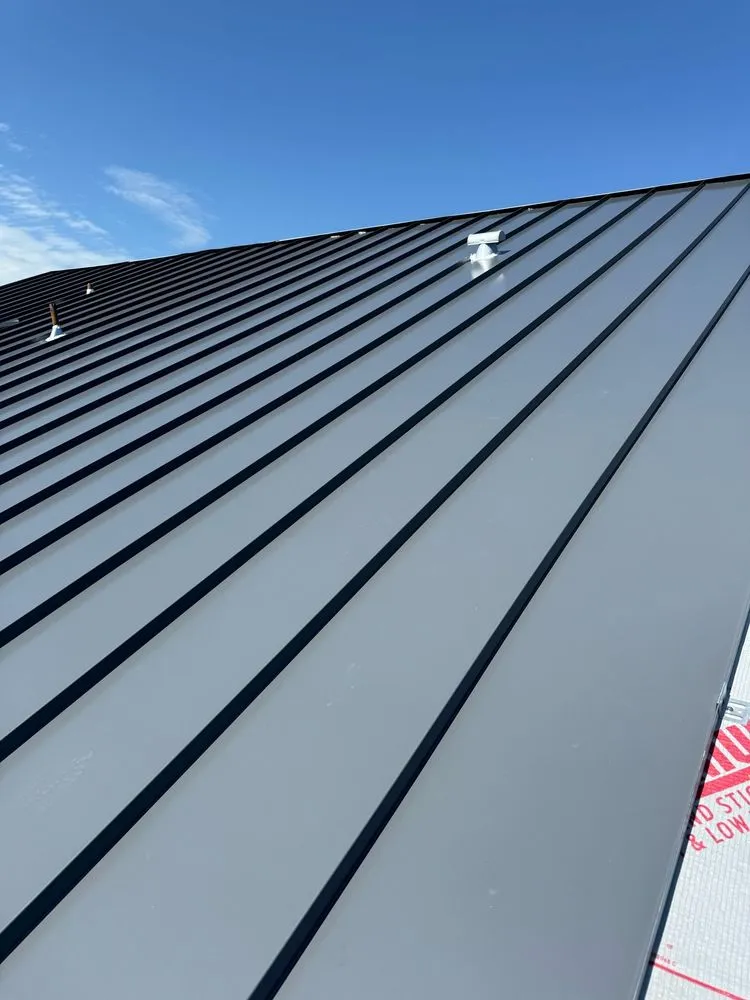 Slide of DLS Development