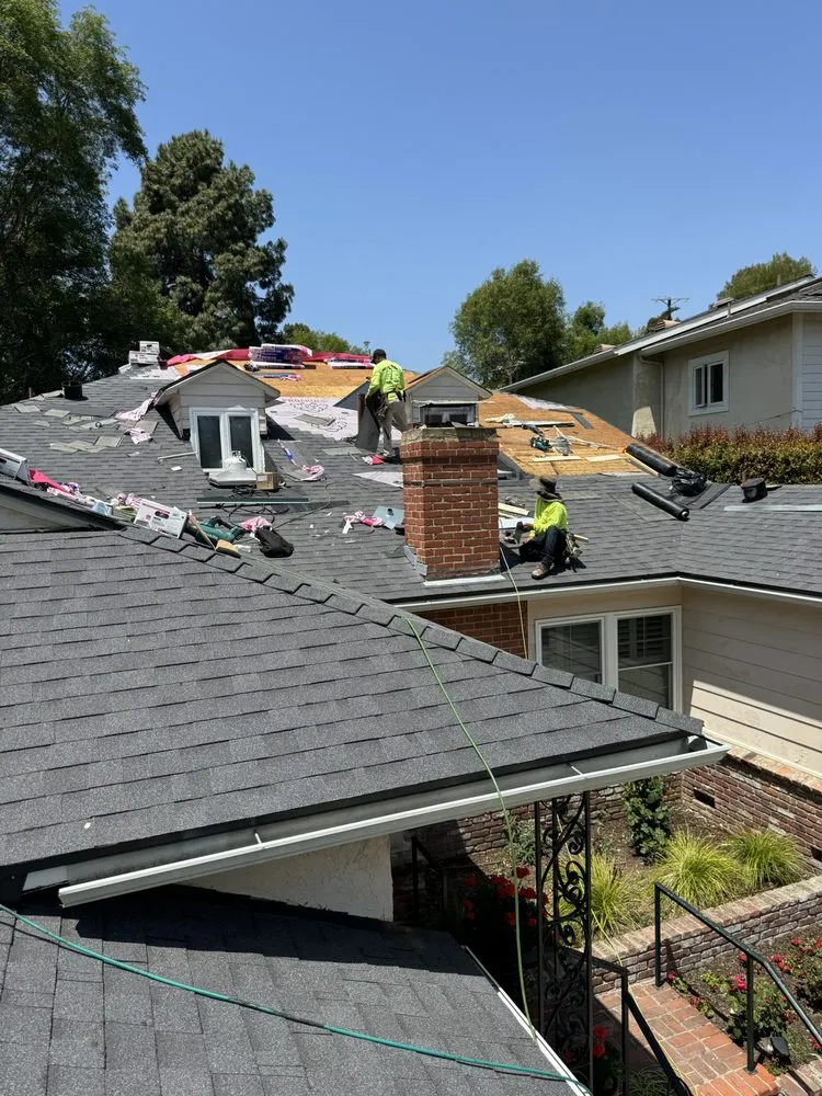 Slide of DLS Development