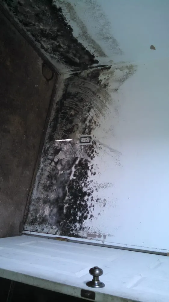Emergency roof inspection near you in Dundee, OH by D&M Exterior Specialties