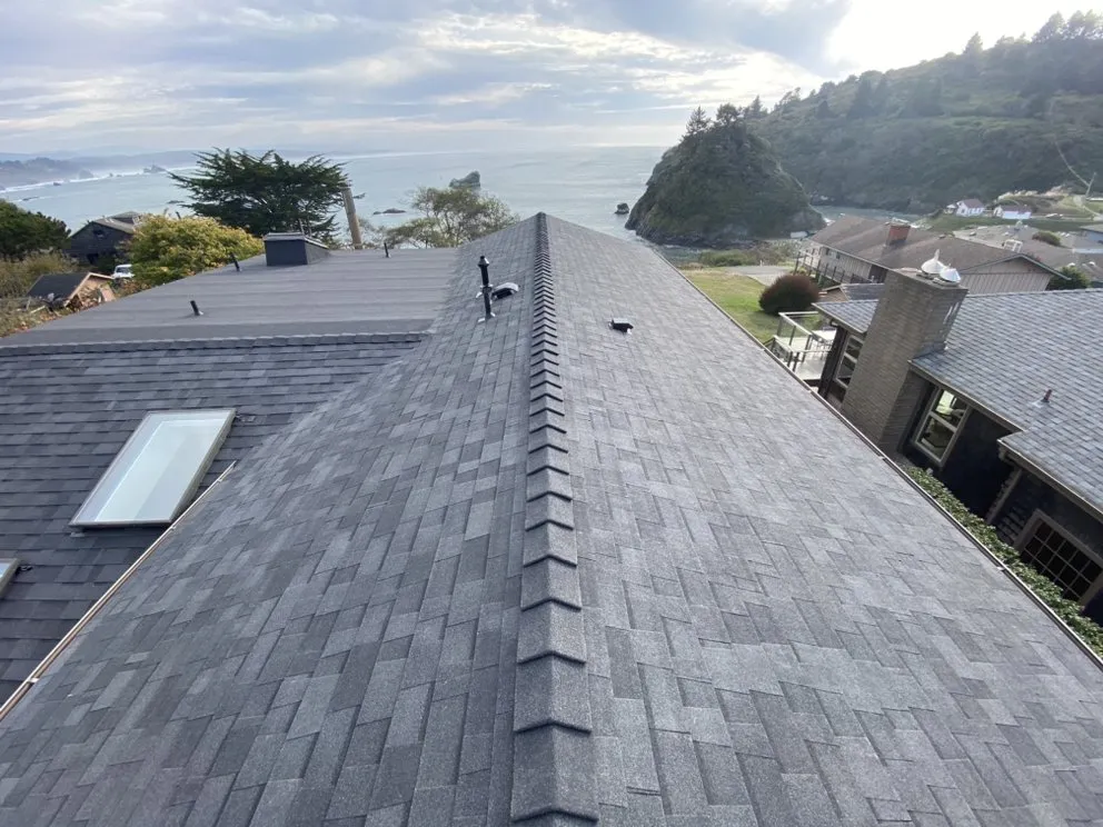 Slide of DM Roofing