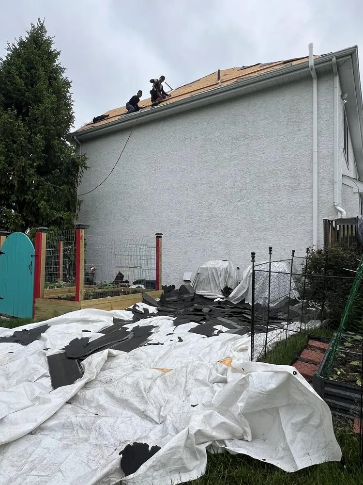 Trusted shingle roofing service in Jamison, PA - Dms Contractors