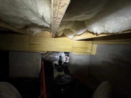 Dmv Foundations Logo