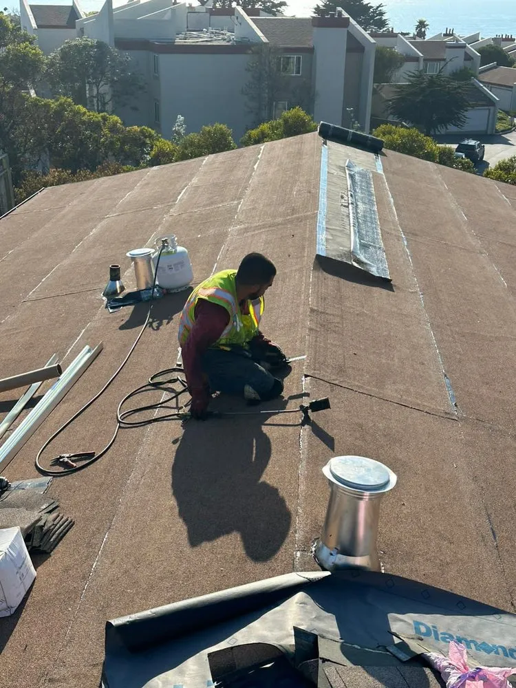 Slide of DNA Home Improvement