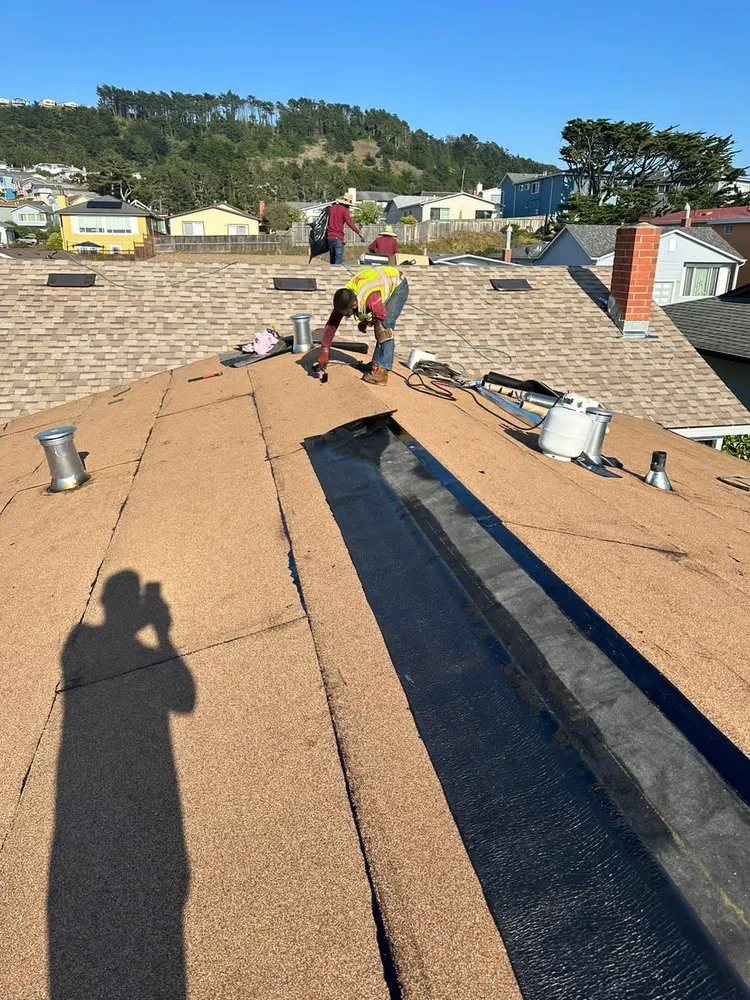 Slide of DNA Home Improvement