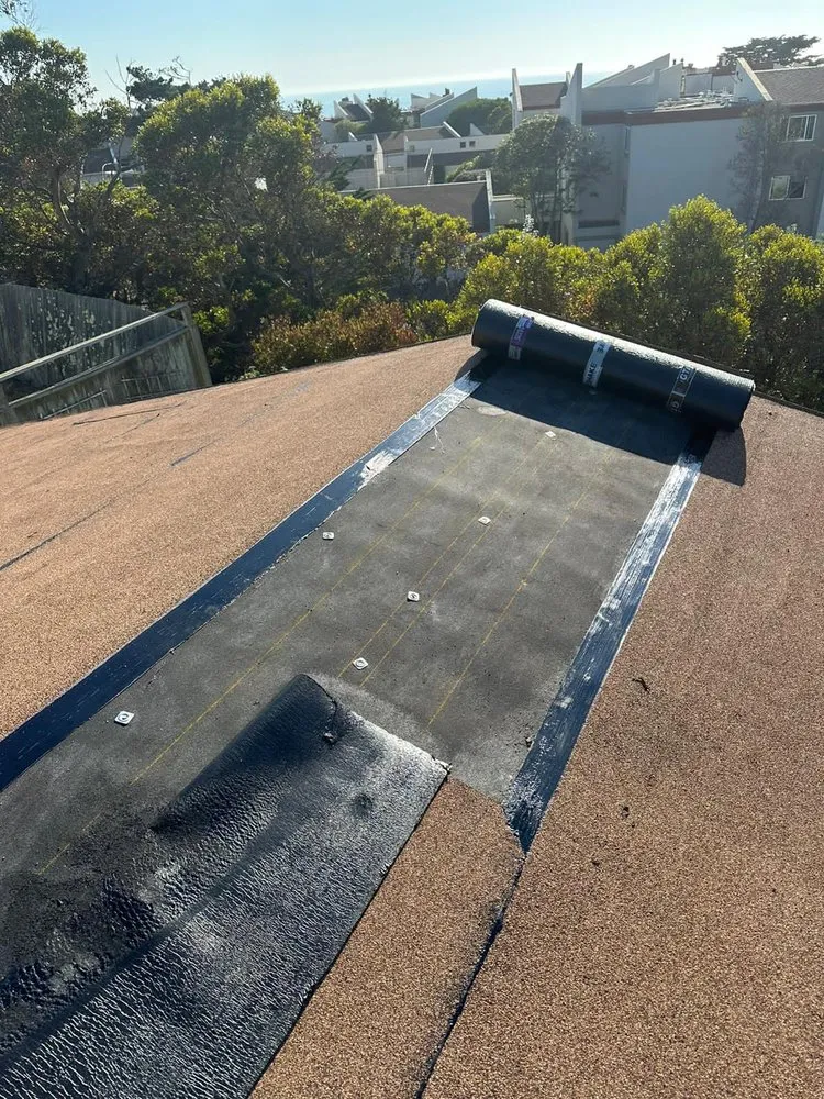 Slide of DNA Home Improvement