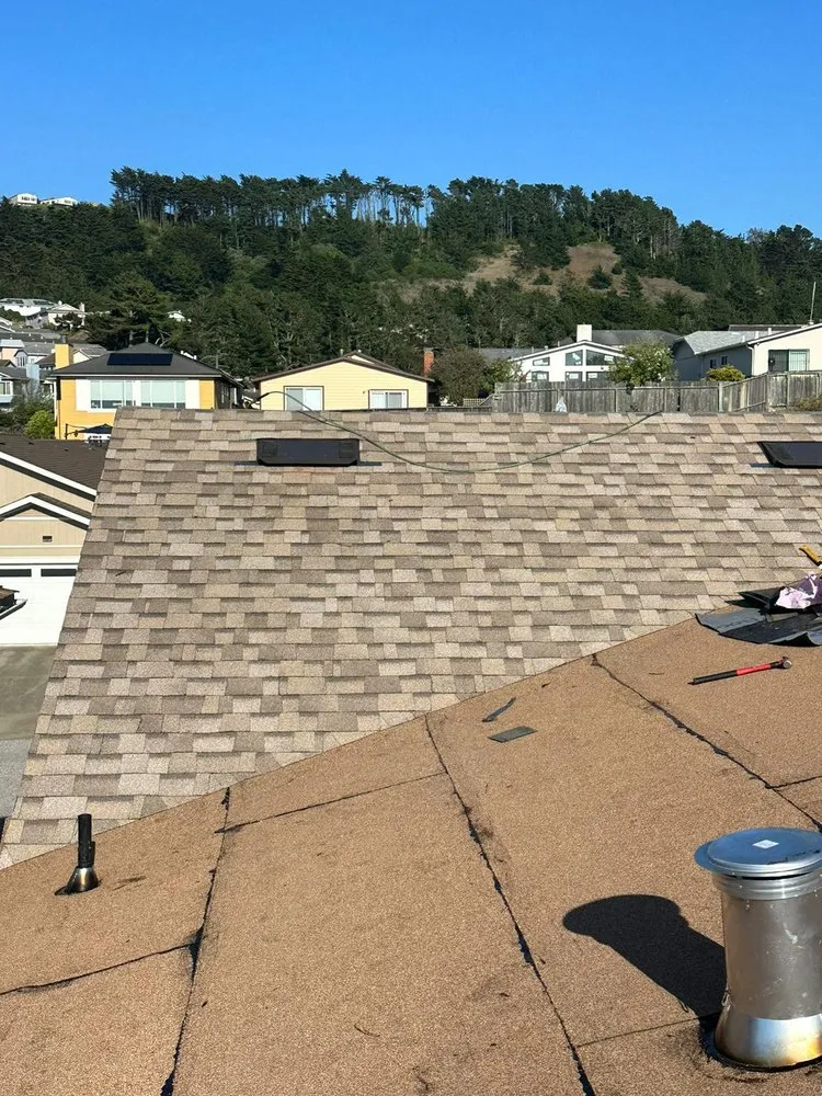 Slide of DNA Home Improvement