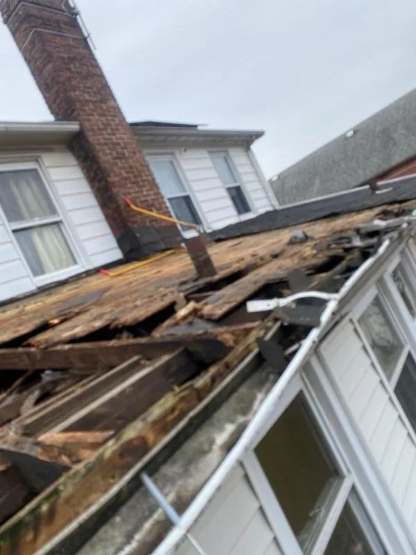 Slide of DNA Home Improvement