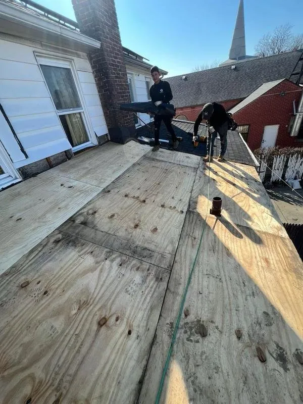 Slide of DNA Home Improvement