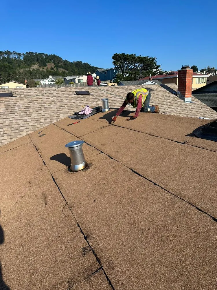 Slide of DNA Home Improvement