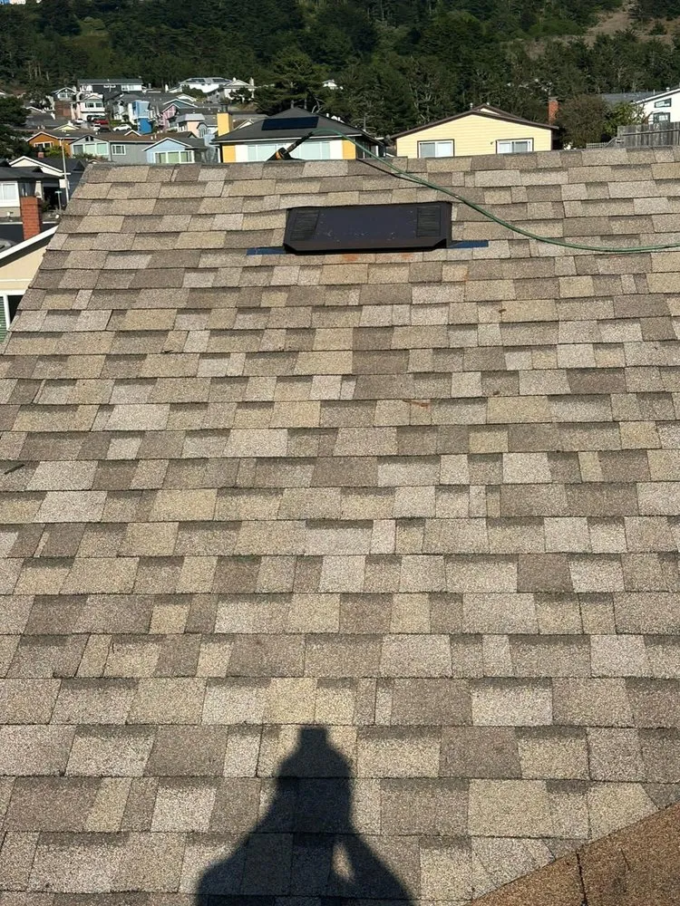 Slide of DNA Home Improvement