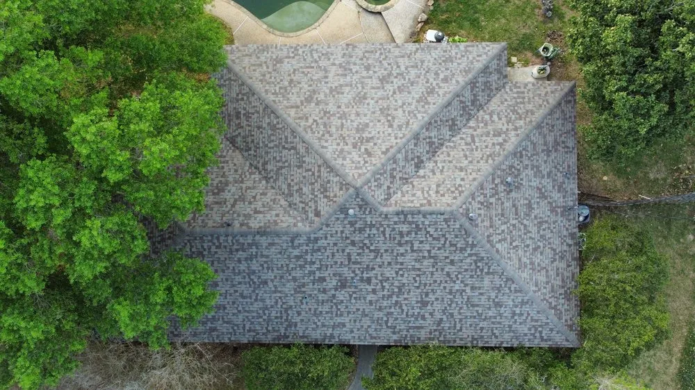 Slide of DNA Restoration & Construction