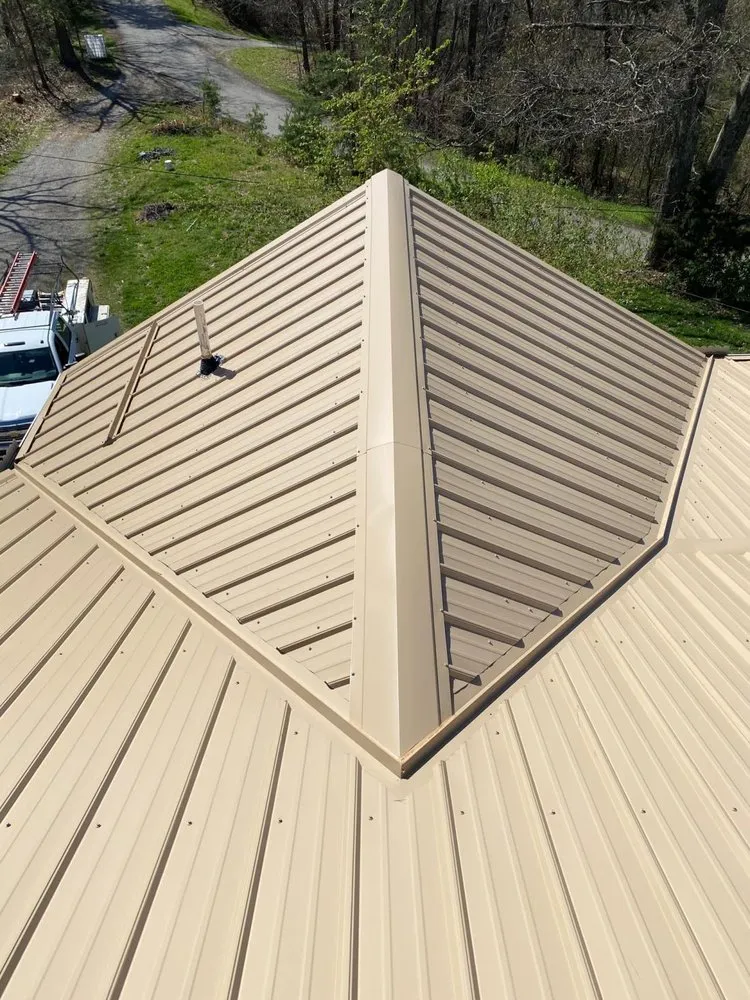 Slide of DNA Roofing