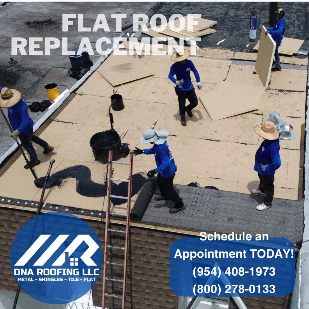 Slide of DNA Roofing