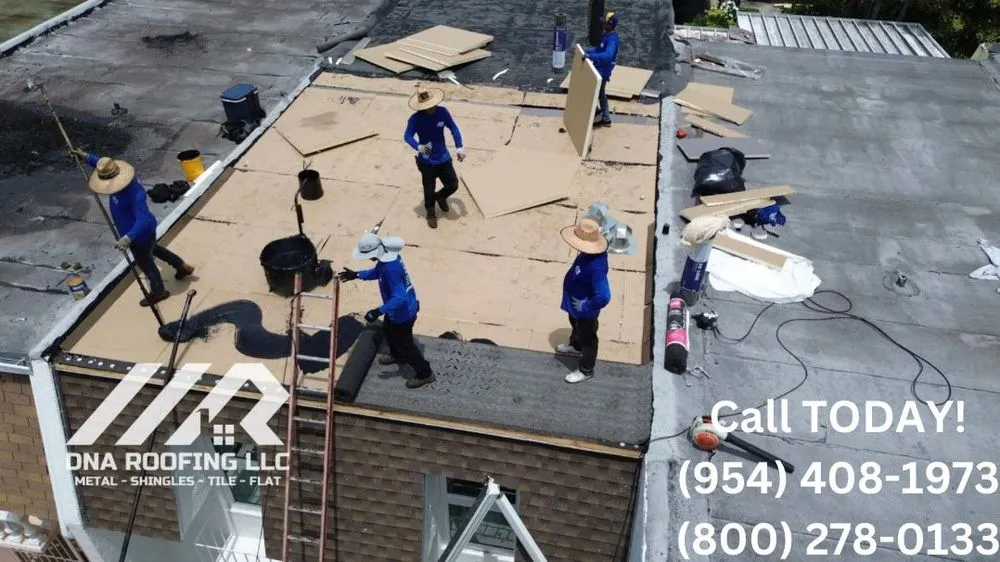 Slide of DNA Roofing