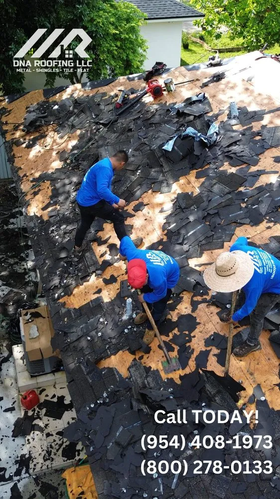 Slide of DNA Roofing