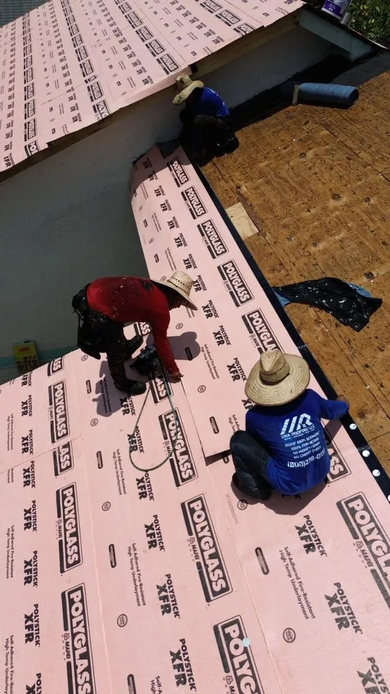 Slide of DNA Roofing