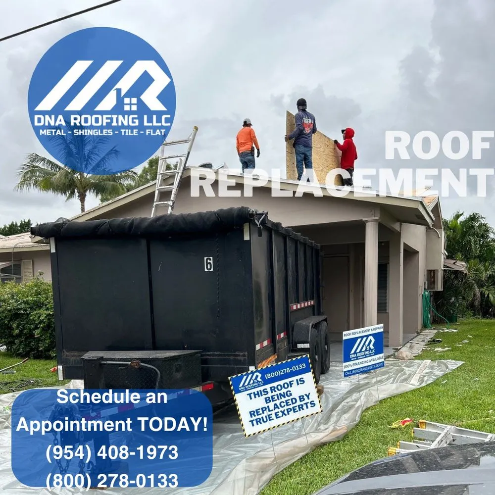 Slide of DNA Roofing