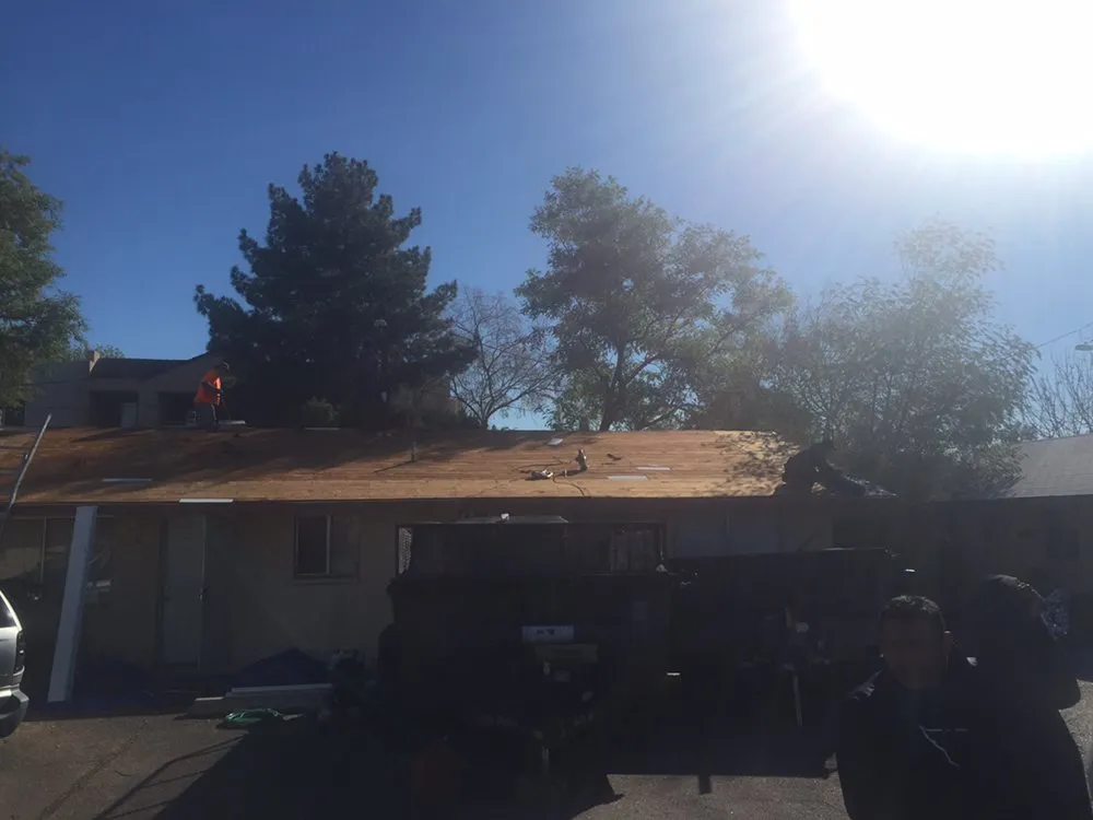 Slide of DNA Roofing