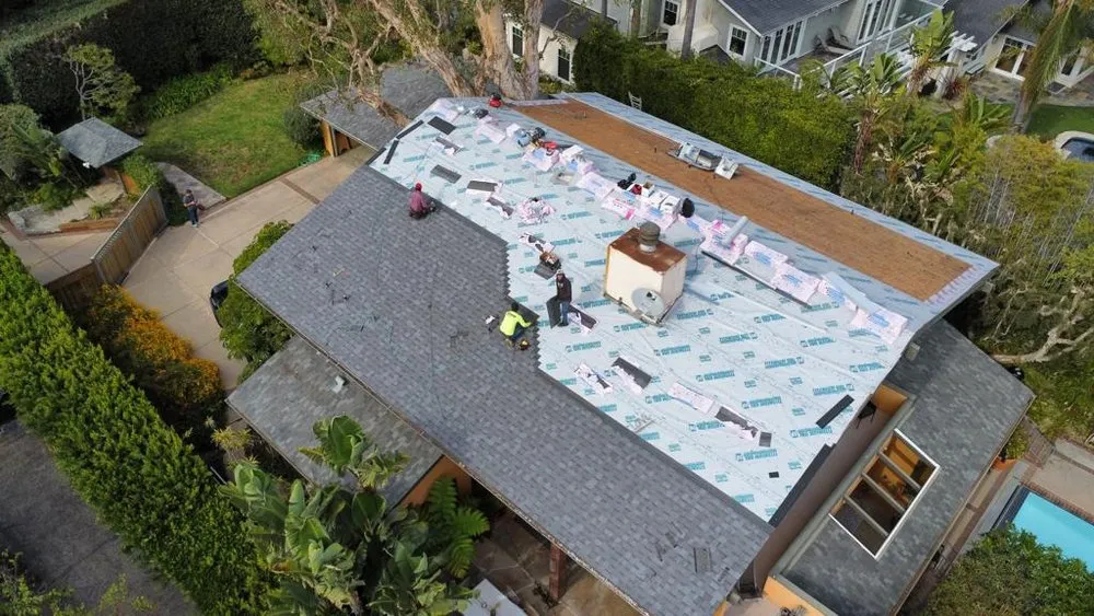 Slide of DNA Roofing