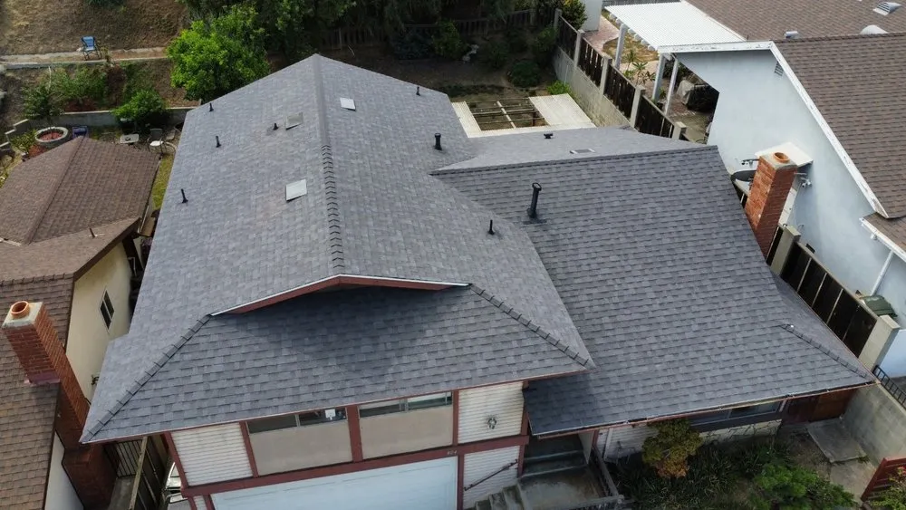 Slide of DNA Roofing