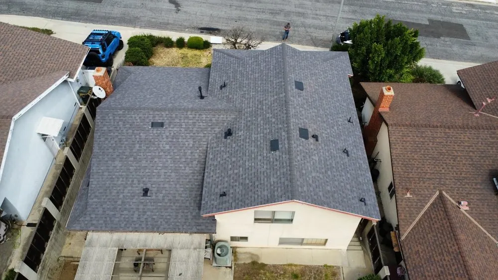 Slide of DNA Roofing