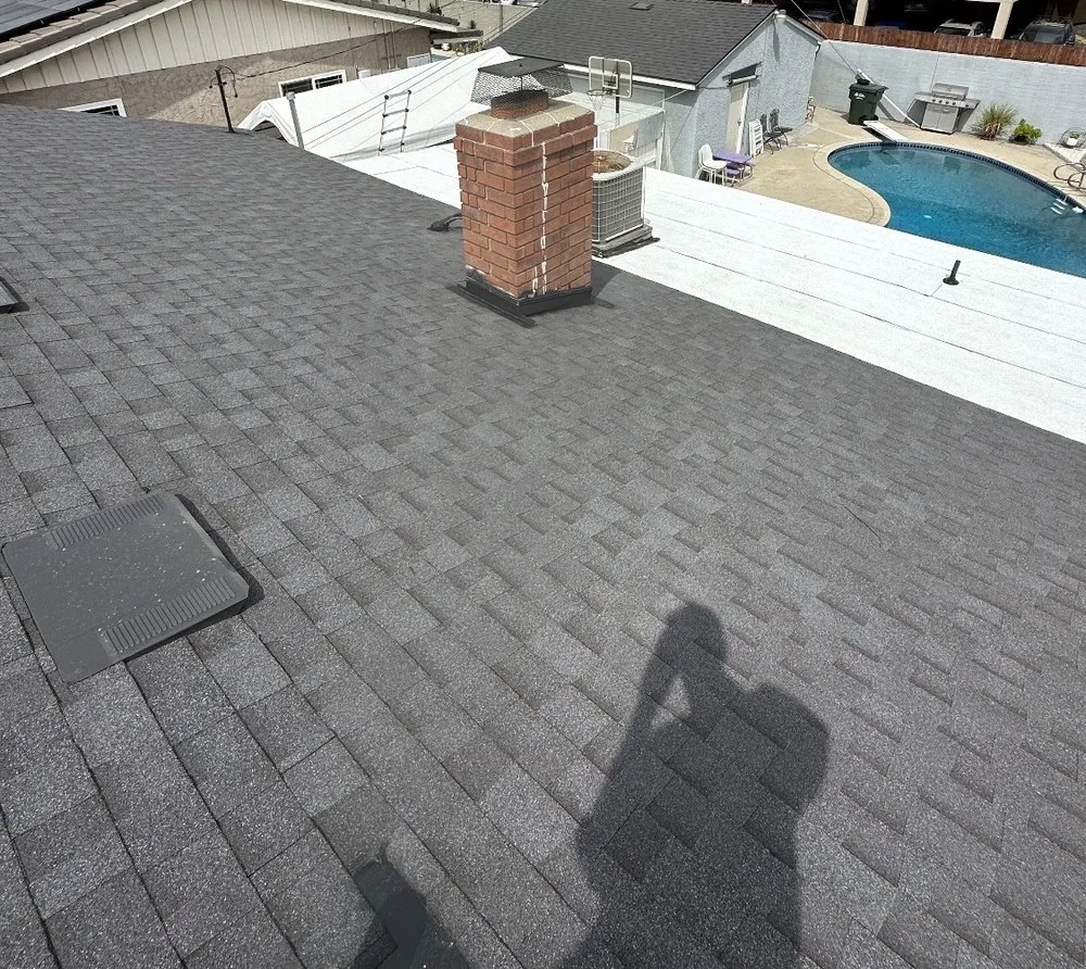 Slide of DNA Roofing