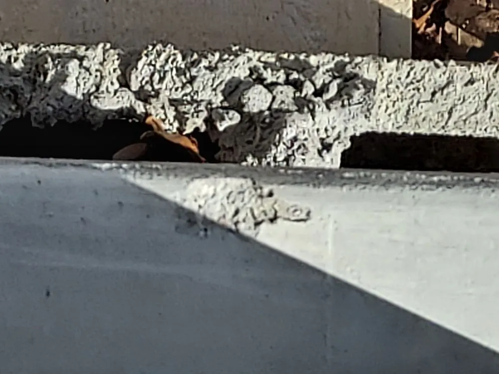 Slide of DO ALL !! services