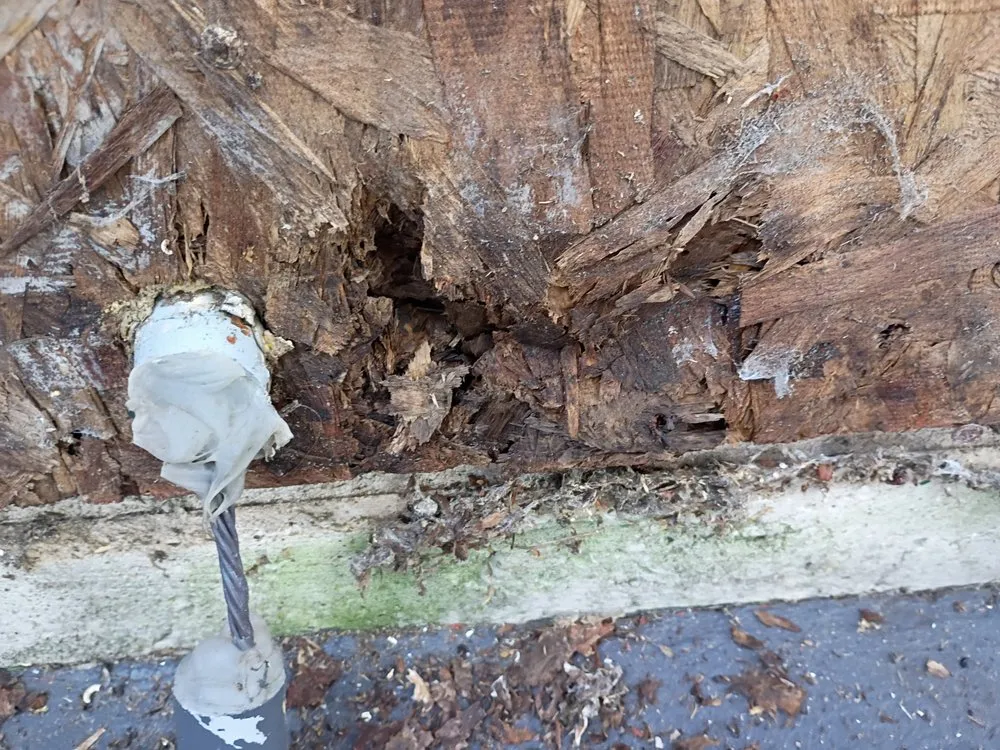 Slide of Do It Allgeier