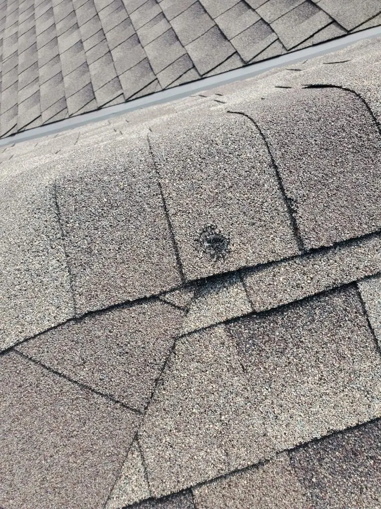 Slide of Do It Better Roofing & Construction