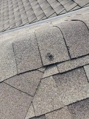 Do It Better Roofing & Construction