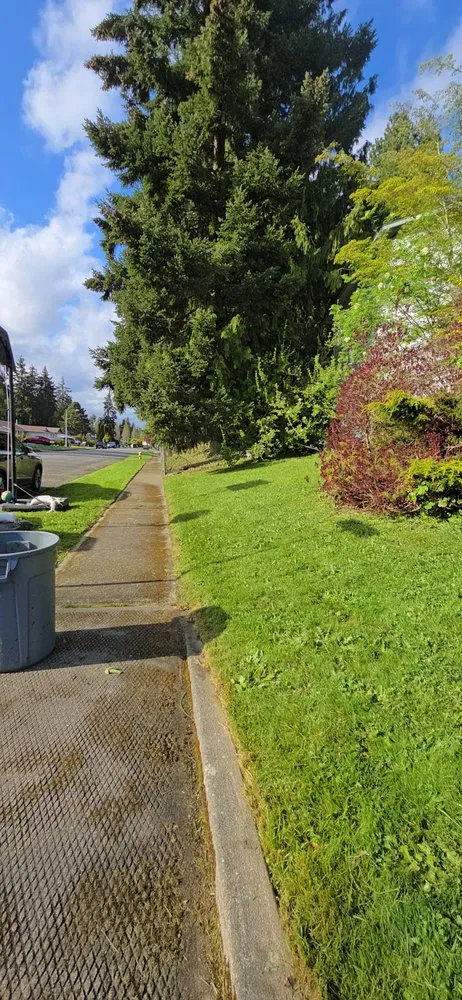 Slide of Do it Green Landscaping