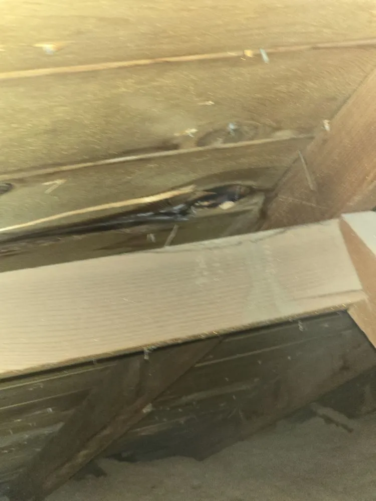 Slide of Do It Right Roofing and Contractors