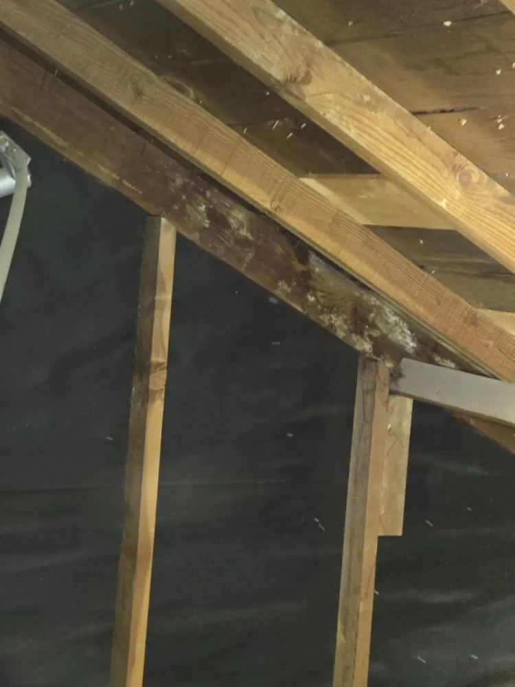 Slide of Do It Right Roofing and Contractors