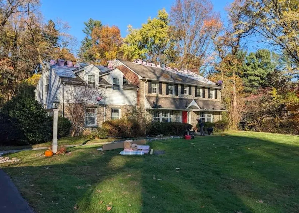 Slide of Doctor Roof