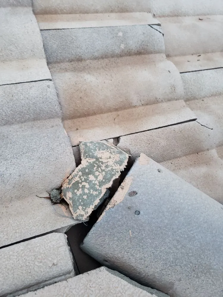 Slide of Doctor Rooftop