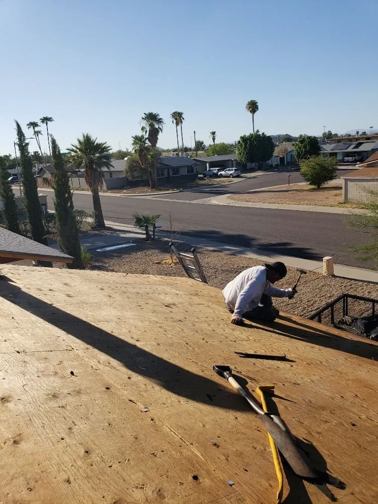 Slide of Doctor Rooftop