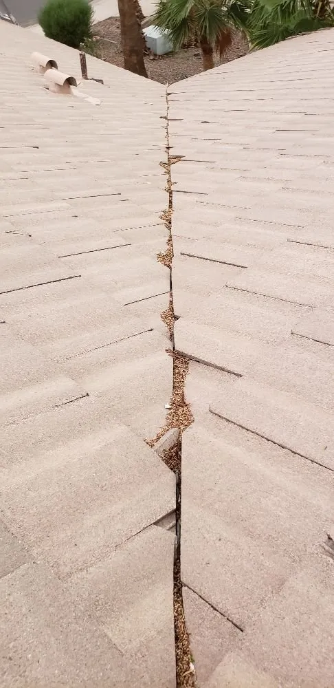 Slide of Doctor Rooftop