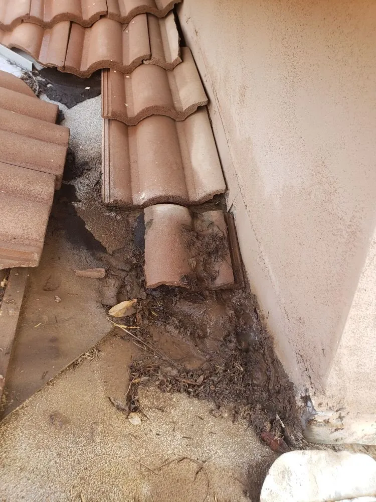 Slide of Doctor Rooftop