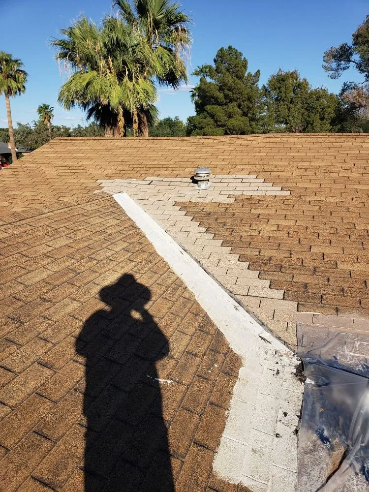 Slide of Doctor Rooftop