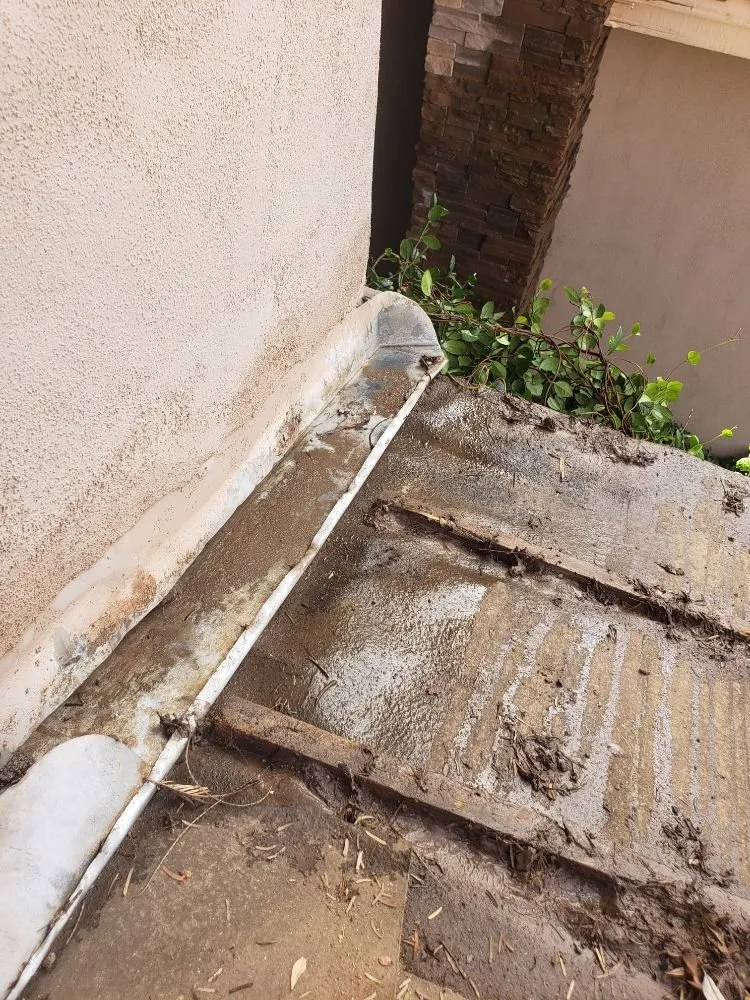 Slide of Doctor Rooftop