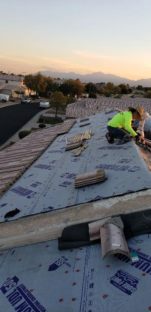 Slide of Doctor Rooftop