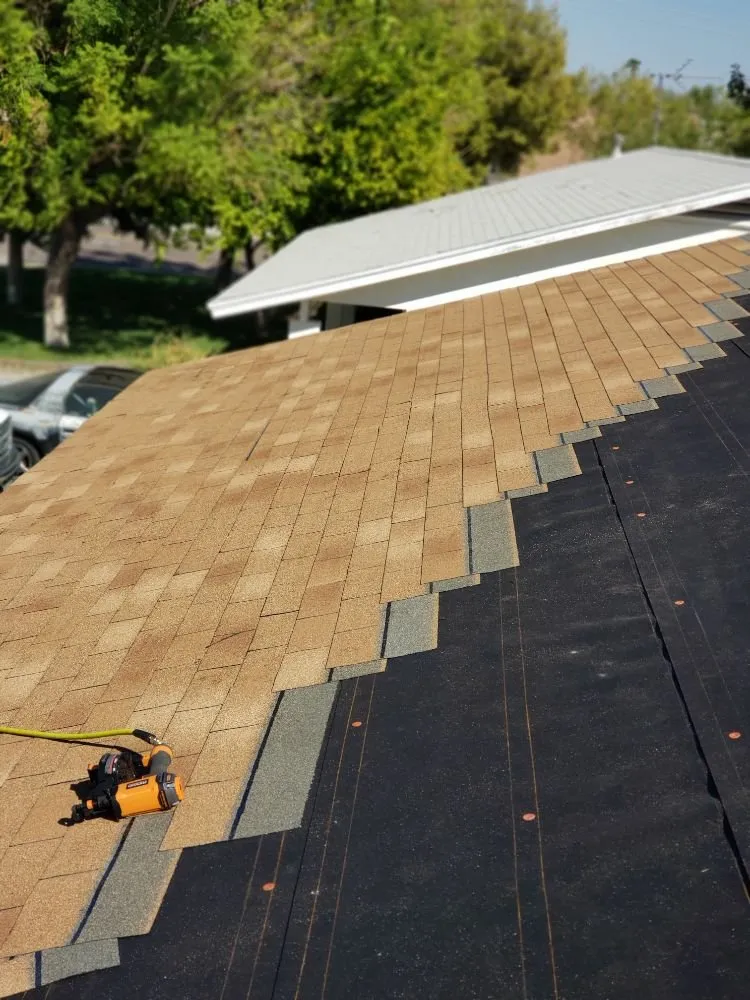 Slide of Doctor Rooftop