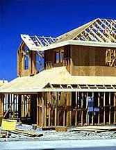 Slide of Dog Construction